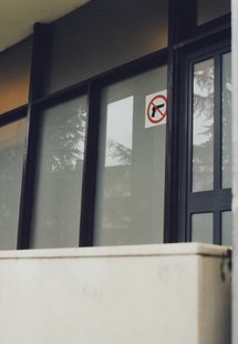 no guns allowed