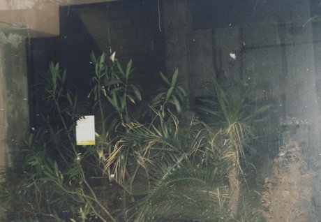 shoppingwindow